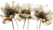 Sepia-toned artistic anemone flowers illustration