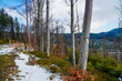 Góry, Beskid Śląski widok na Baranią Górę zimą