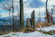 Góry, krzesło wyrzeźbione w pniu drzewa. Beskid Śląski w Polsce