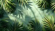 Realistic photo of palm branch pattern in shadow play style, flat color background, isometric, view from top, bird eye view, professional studio shoot