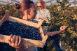 Mother and daughter picking blueberries on a family organic farm.