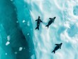 Three seals rest on ice amid azure waters, symbolizing wildlife adaptation to arctic environments.