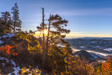 Fototapeta Krajobraz - Sunny Winter Sunrise In the Mountain