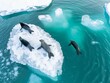 Seals rest on a small iceberg surrounded by the aquamarine waters of the Arctic.