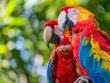 Two colorful scarlet macaws perched, showcasing their vibrant feathers with a green bokeh background.