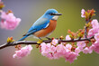 blauer Singvogel auf einem blühenden Zweig im Frühling