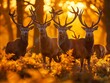 A herd of stags standing amidst ferns bathed in the warm glow of sunset.