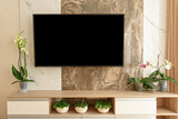 Fototapeta Dmuchawce - Modern living-room with TV and flower pots. Front view
