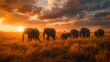 Majestic Elephant Herd Crossing African Savannah, To showcase the majesty and power of a herd of elephants moving across the African savannah,
