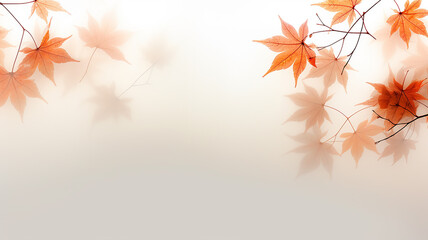 Wall Mural - white background with copy space yellow autumn leaves layer postcard.