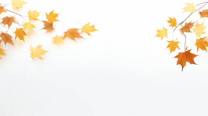 Wall Mural - maple leaves on a white background isolated frame of fallen leaves autumn blank
