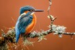 Elegant Kingfisher Resting on Mossy Branch - Essence of Wild Beauty Generative AI