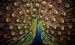Spectacular Peacock with Luminous Feather Display in Radiant Splendor - Generative AI