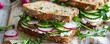 Nutrient-rich sandwiches prepared with rye bread, layered with creamy cottage cheese, sliced radishes, cucumbers, a variety of fresh greens, and peppery arugula.