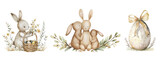 Fototapeta Dziecięca - Easter Bunny and eggs, spring animals, watercolor illustration 
