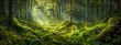 © edojob - Tranquil and mystical enchanted forest with lush greenery. Moss-covered floor