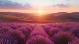 Fototapeta Kwiaty - The sun dips below the horizon, casting a warm glow over rolling hills of purple lavender, creating a picturesque and calming landscape.