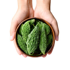 Wall Mural - Bitter gourd or bitter melon in bowl holding by hand, top view