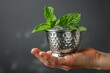 Hand holding a classic Mint Julep in a silver cup with fresh mint garnish