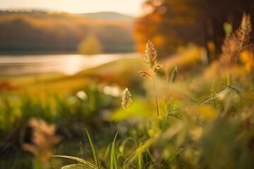 In the vintage landscape the summer sun bathes the green grass in a warm golden light creating a breathtaking bokeh effect against the autumn backdrop of colorful plants and a serene natura Generative