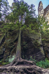 Poster - View in Adrspach-Teplice Rocks national park in Czech Republic