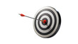 © Uncle-Ice - Success Aiming: Dart Hits Target