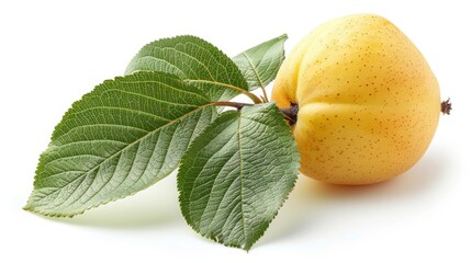 Canvas Print - Ripe yellow quince with a lush green leaf isolated on white. Juicy quince fruit with vibrant leaf for healthy snacks. Single fresh quince presenting natural simplicity on a clean background.