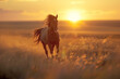 horses galloping across a field at sunset