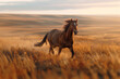 horses galloping across a field at sunset