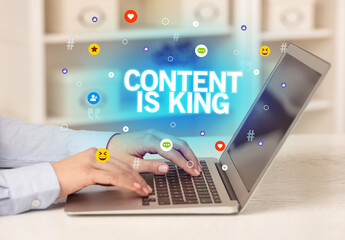 Poster - Freelance woman using laptop concept concept