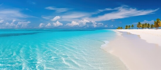 Summer natural landscape. Tropical beach with sea, blue sky and palm trees and white sand