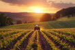A tractor is driving through a field of corn. The sun is setting in the background, casting a warm glow over the scene. The field is lush and green
