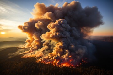 A stark image of a forest ravaged by a wildfire. Shown from a drone perspective charred trees and blackened earth dominate the landscape, portraying the devastating natural disaster.