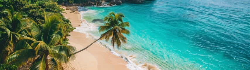 Wall Mural - beautiful beach with palm trees in summer panoramic 32:9 in high resolution