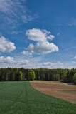 Fototapeta Natura - Felder und Wald im Frühling
