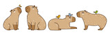 Fototapeta Na ścianę - Set of cute сartoon capybaras with birds isolated on white - funny animals for Your design