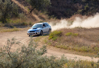 Wall Mural - Rally Car in a Turn and a Cloud of Dust 22