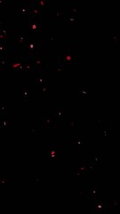 Wall Mural - rose flower falling animation with transparent background 