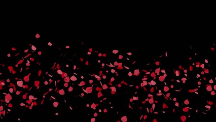 Wall Mural - rose petals falling transition animation with transparent background