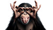 © angellodeco - Close-up of a monkey makes glasses with fingers on its face. Chimpanzee with Hands on Face simulating glasses and sticking out his tongue