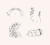 Fototapeta  - Pregnancy symbols female torso, silhouette of a pregnant woman, sleeping child drawing in floral hand-drawing style with black on beige background