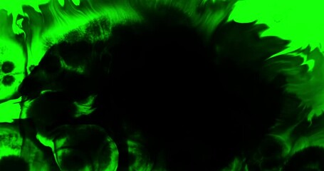 Wall Mural - abstract paint brush stroke shape ink splattering flowing and washing on chroma key green screen, in