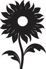 Sunflower Silhouette Vector Illustration White Background