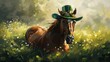 Portrait of a brown horse wearing a green hat in the middle of a shamrock field, in sunlight. 