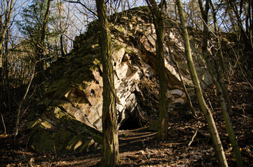 Energetic place by the rock in the forest