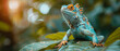Arboreal reptiles in technology tracking their canopies through satellite eyes