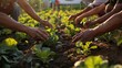 © cvetikmart - In an urban setting, a community vegetable garden with hands tending soil under golden sunset light, symbolizing food security and sustainability