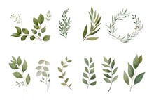 Collection Of Different Types Of Leaves On A Clean White Backdrop. Suitable For Nature Or Botany Concepts