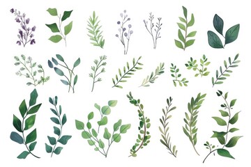 Poster - Assorted leaves on a plain white backdrop, suitable for nature or environmental concepts