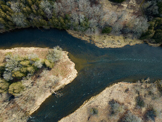 Two rivers joining in forest 